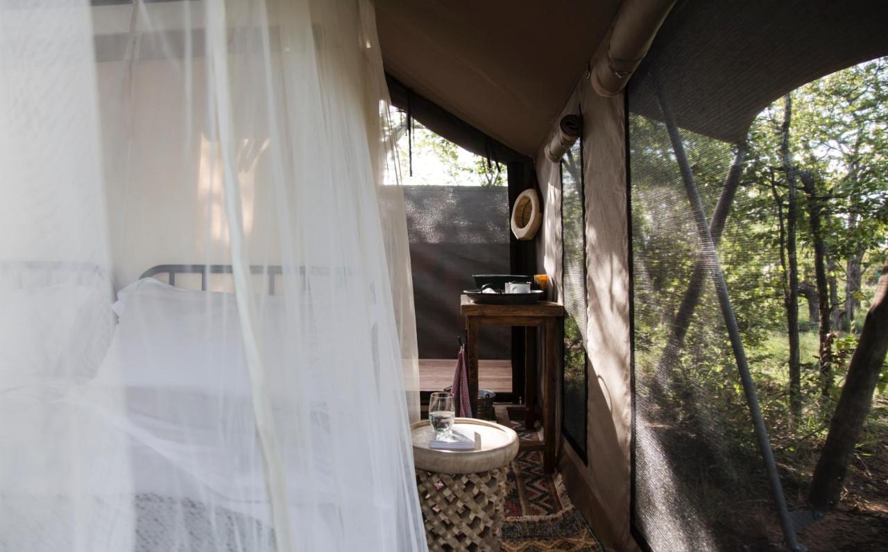 Simbavati Trails Camp Timbavati Game Reserve Exterior foto
