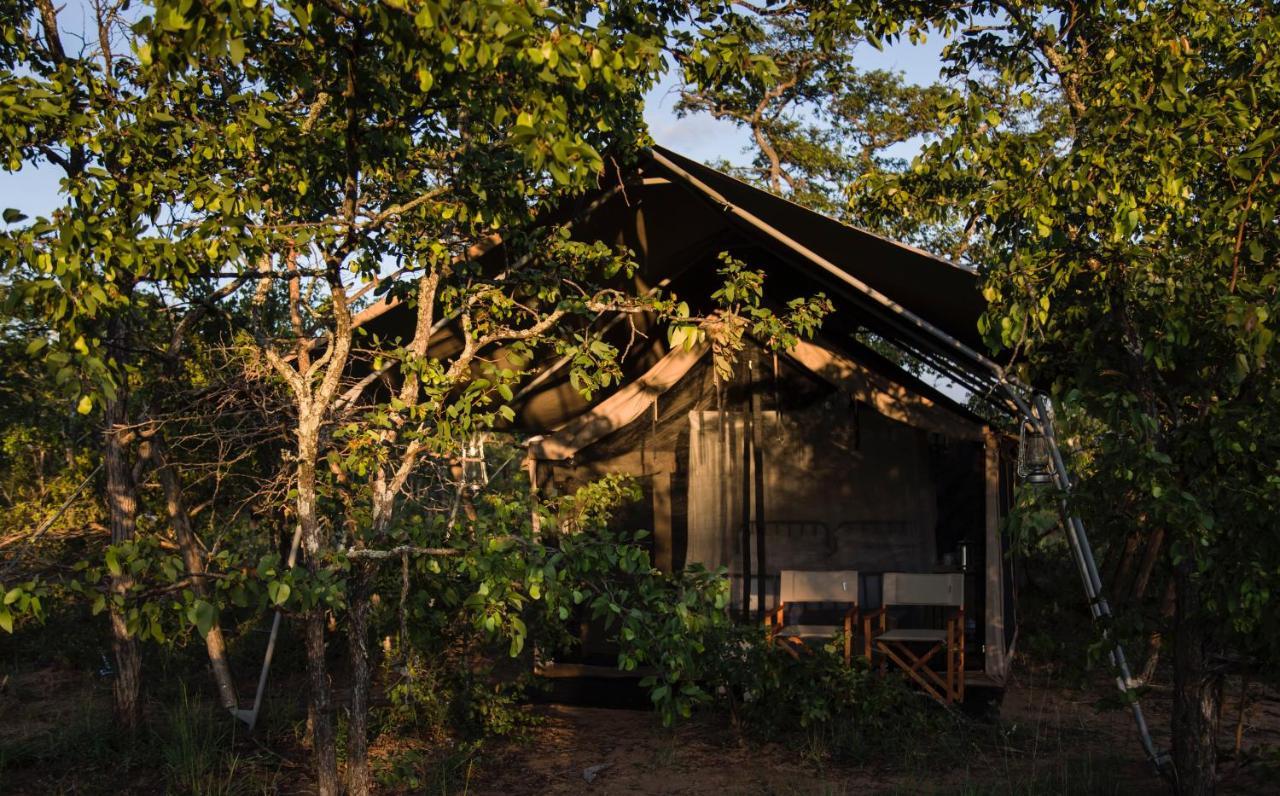 Simbavati Trails Camp Timbavati Game Reserve Exterior foto