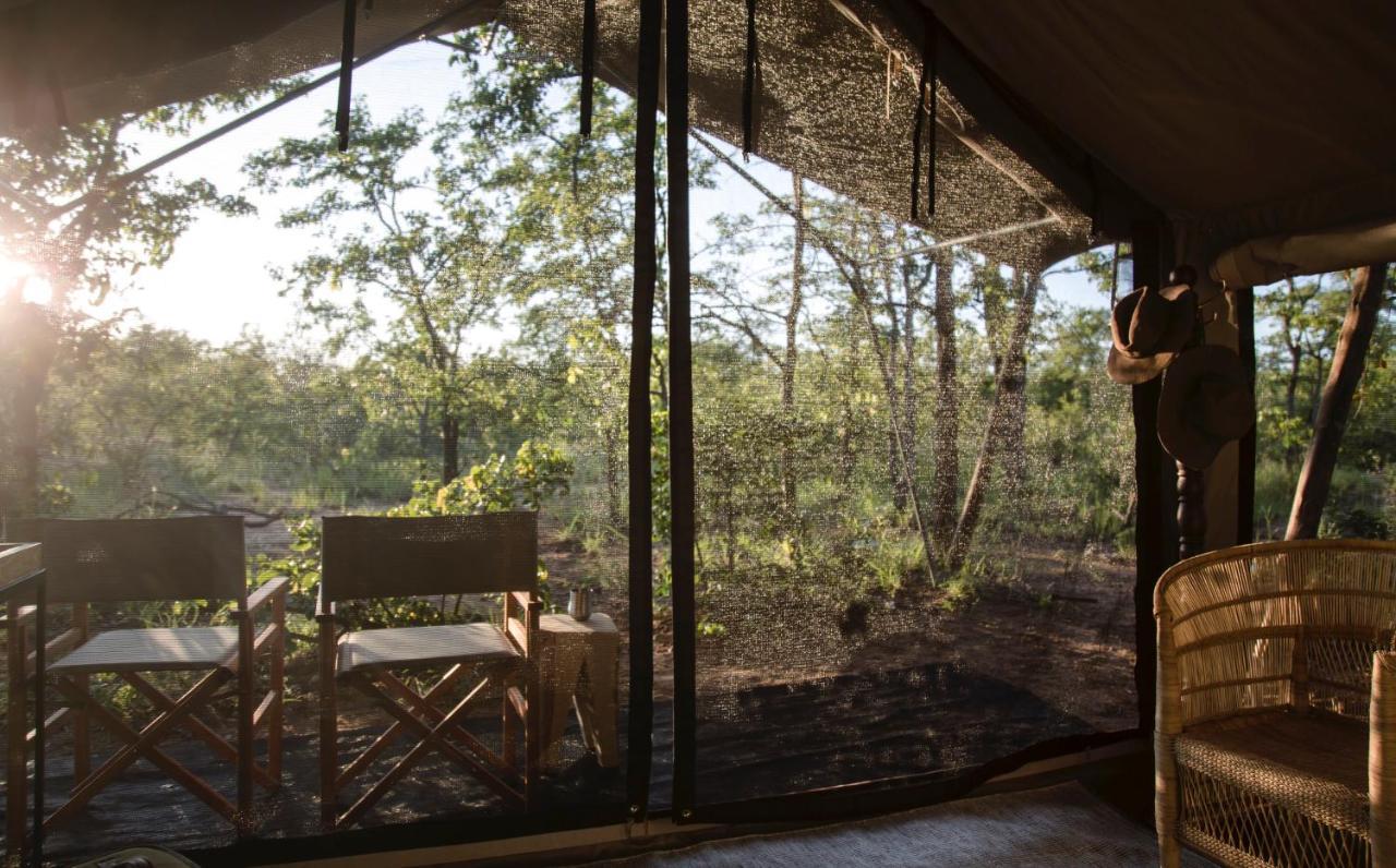 Simbavati Trails Camp Timbavati Game Reserve Exterior foto